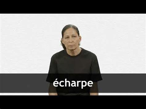 English translation of 'l’écharpe' .